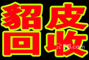 丹東物品租售信息指南 高價回收黃金白金鉆戒與寄賣服務全解析